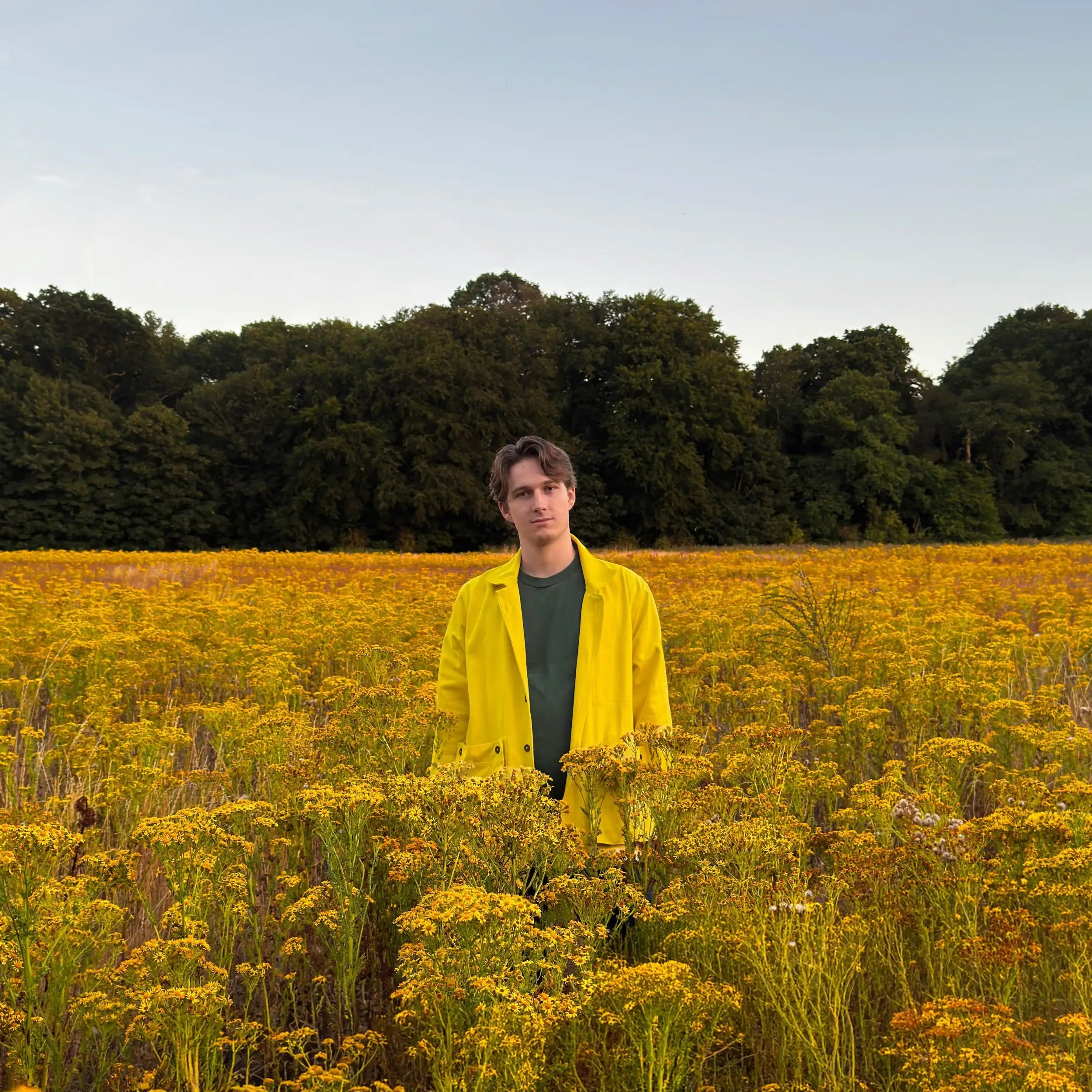 dust jacket - yellow
