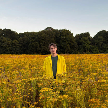 dust jacket - yellow